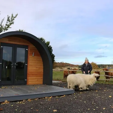 Villa Glampods Glamping Pod - Meet Highland Cows And Sheep Elgin Exterior foto