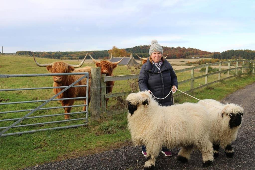 Glampods Glamping Pod - Meet Highland Cows And Sheep Holiday home