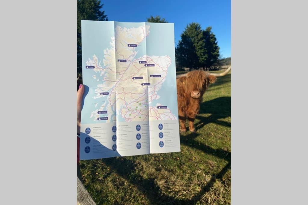 Holiday home Glampods Glamping Pod - Meet Highland Cows And Sheep